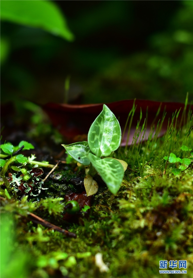 1310209788_16326170285971n