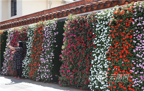 00304216289_3b713a95