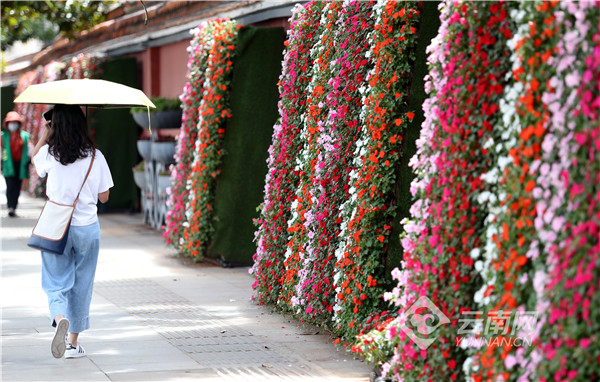 00304216286_ea798dfa