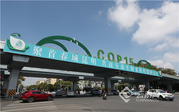 00304216284_074b3b6a