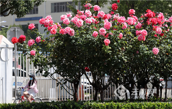 00304216282_d702875a