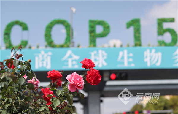 00304216278_a565feca