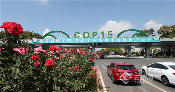 00304216277_722ba576