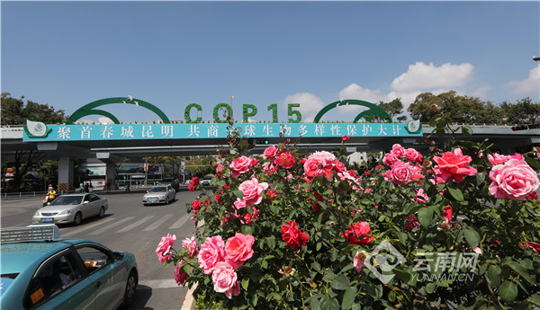 00304216276_1d31cce2