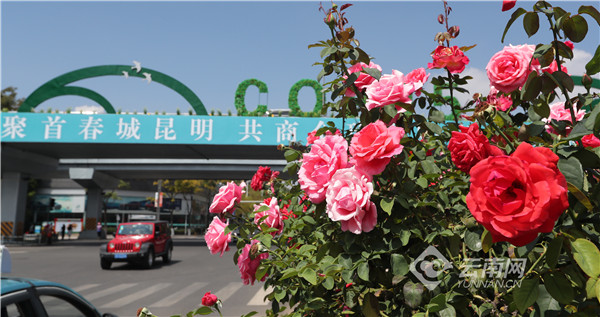 00304216275_2d75ac58