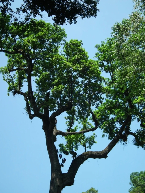 640.webp (5) 640.webp (5)