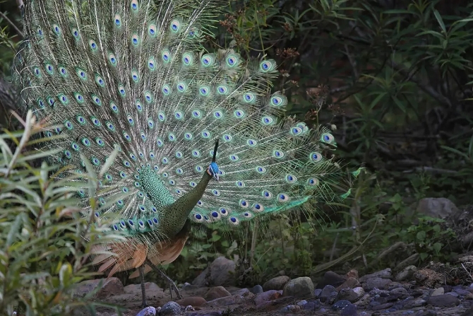 640.webp (9) 640.webp (9)