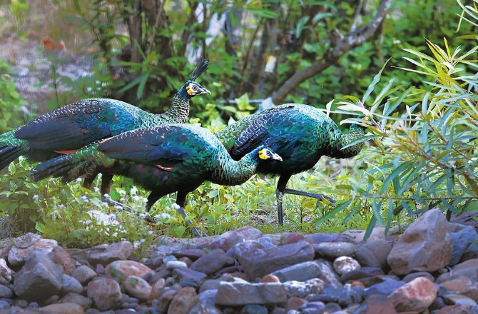 72874535-93a5-4631-a230-ca0e53002705 72874535-93a5-4631-a230-ca0e53002705