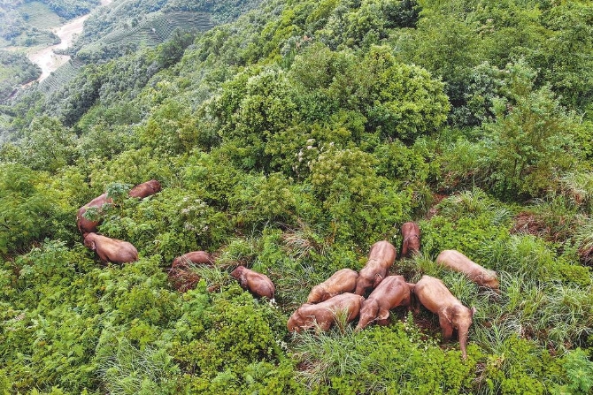 5039150d-21ad-446a-8c89-e7eae1c91267 5039150d-21ad-446a-8c89-e7eae1c91267