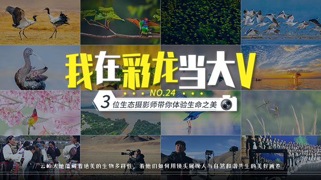 7b8b3cb9-3704-496e-a75d-cb6500140cc6