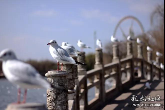 微信图片_20211026122058