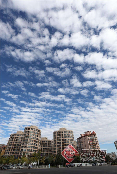 00304256256_dd6cc6d4 00304256256_dd6cc6d4