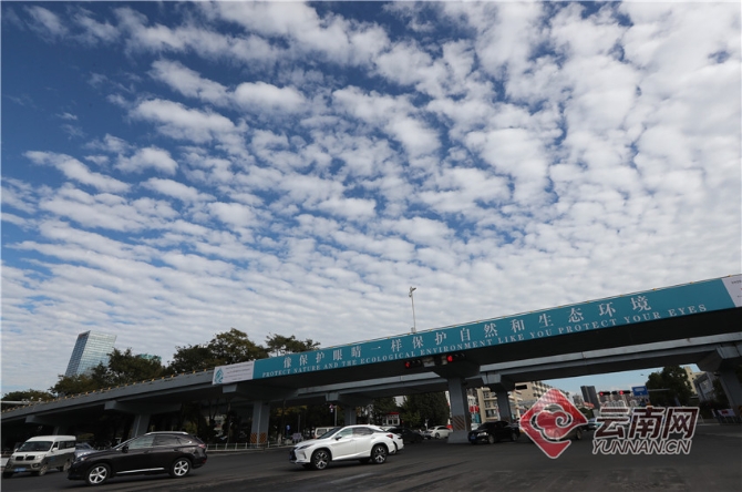 00304256257_1601c377 00304256257_1601c377