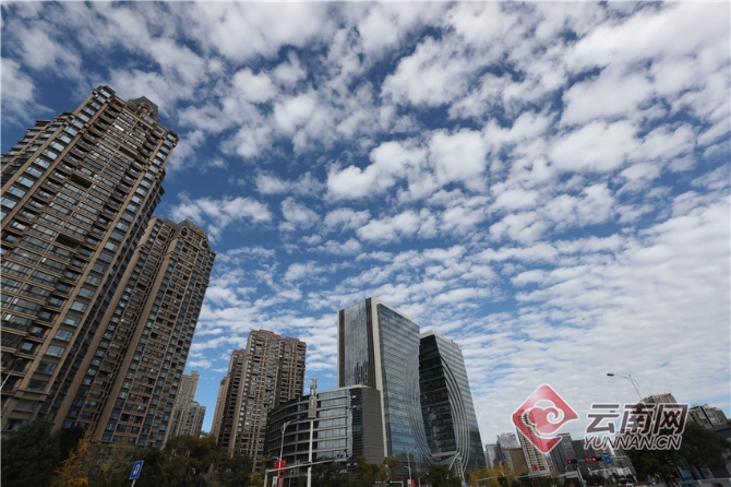 00304256258_3e0058a8 00304256258_3e0058a8