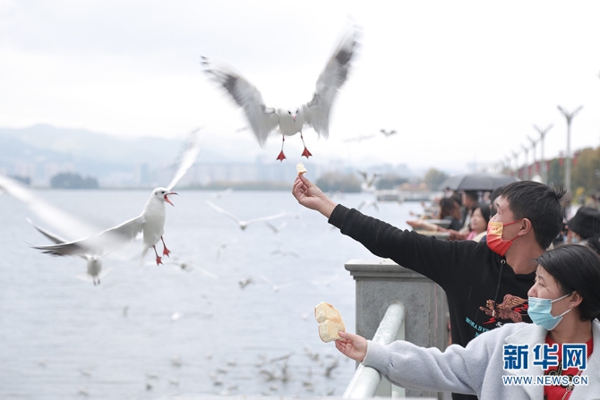 1310279815_16355960519631n 1310279815_16355960519631n