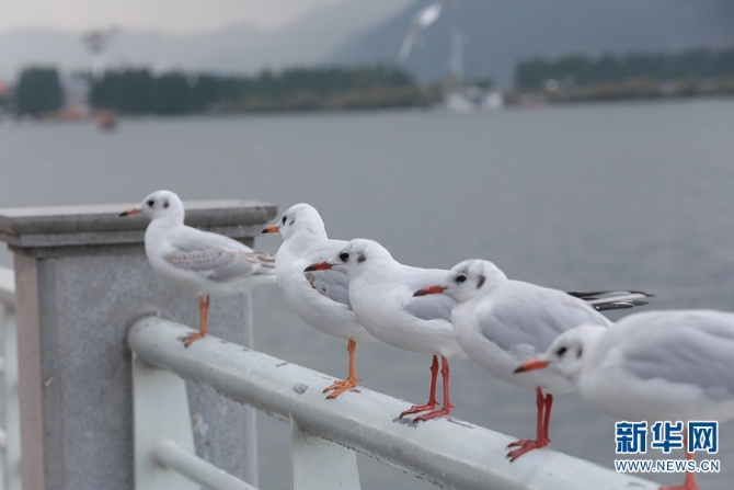 1310279815_16355960520381n 1310279815_16355960520381n