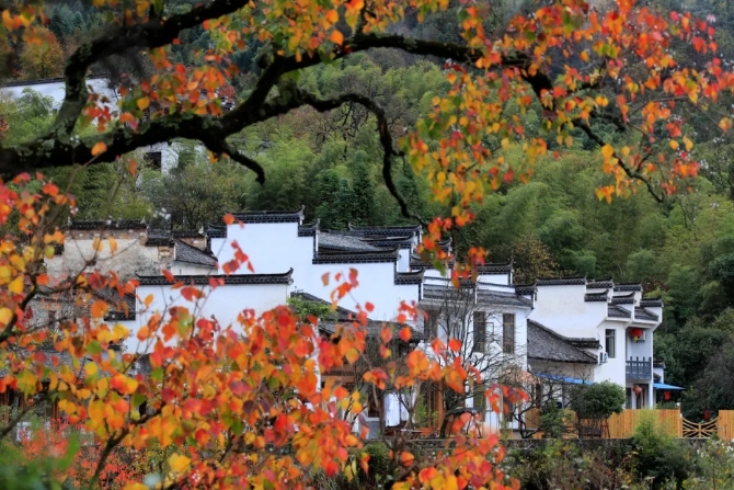 640.webp (4) 640.webp (4)