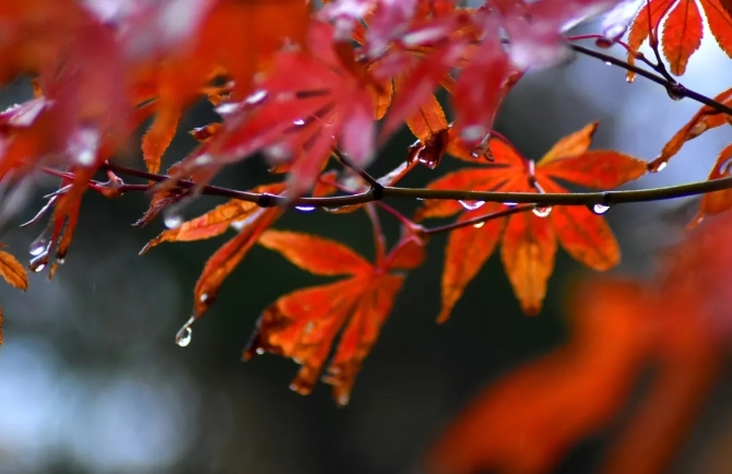 640.webp (5) 640.webp (5)