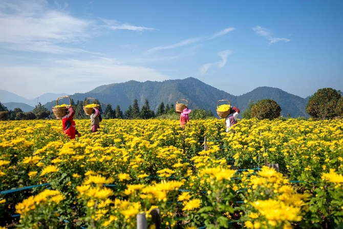 640.webp (8) 640.webp (8)