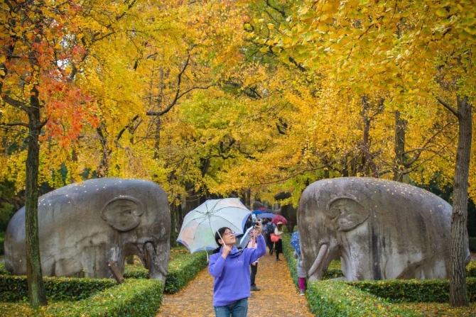 640.webp (13) 640.webp (13)