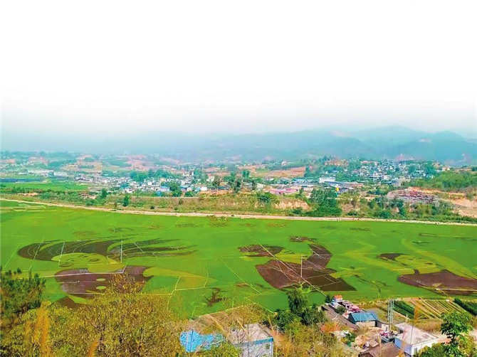 221e4152-74be-4cb2-9c18-5dc23a9c51e1