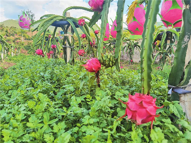 e9005732-c841-4d15-bdfc-5350a5fc9790