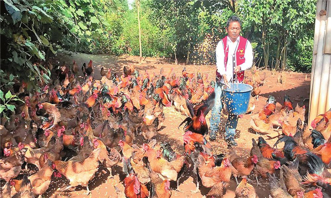 8d51a37b-5f0d-47e3-a4df-6a9d41139934