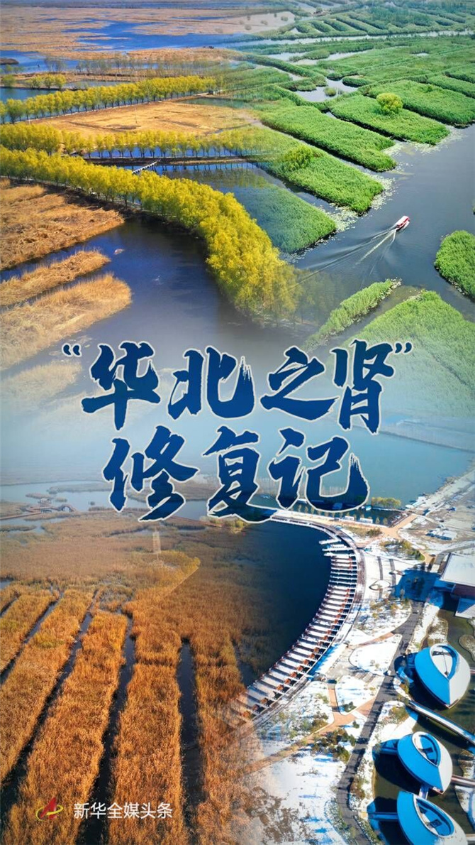 1128062589_16368620053301n