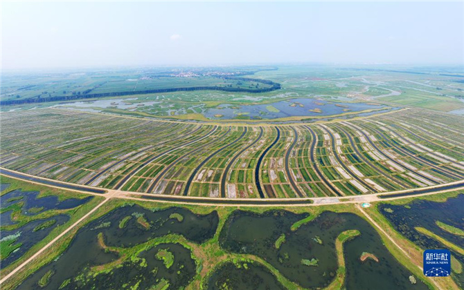 1128062589_16368634283141n