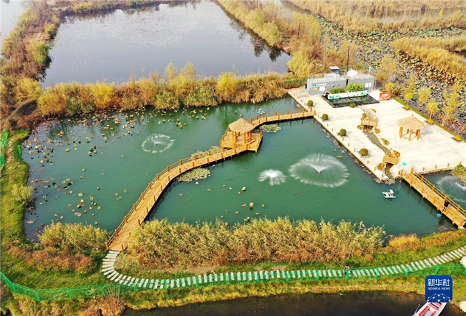 1128062589_16368634775001n