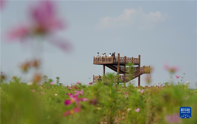 1128062589_16368635271701n