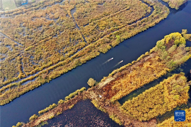 1128062589_16368635388041n