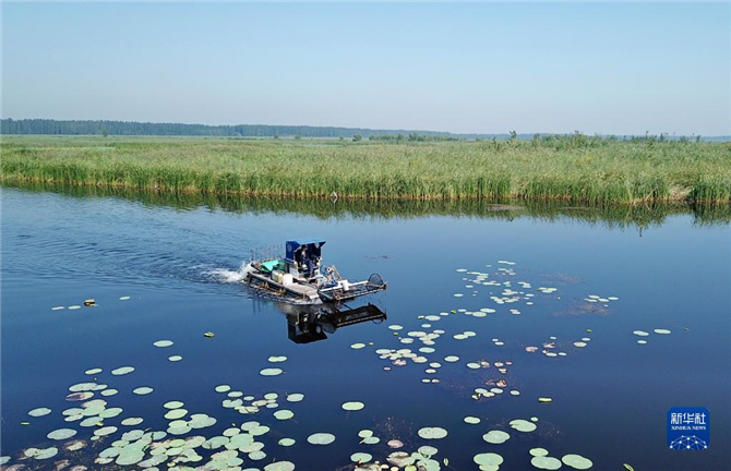 1128062589_16368635547401n