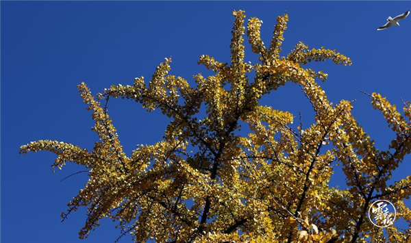 code_ynrb3cccfda4-3d20-4933-9497-f69f120269ac