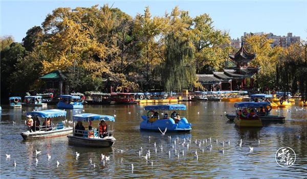 code_ynrb5d661dd1-875f-437a-8279-4d597f4d27d4