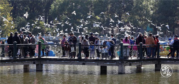 code_ynrb7bc2b7e3-10f5-410b-a867-adeb296fb310