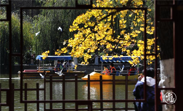 code_ynrb8e7d8a65-c7a9-4810-a76a-d64c4b317a4f