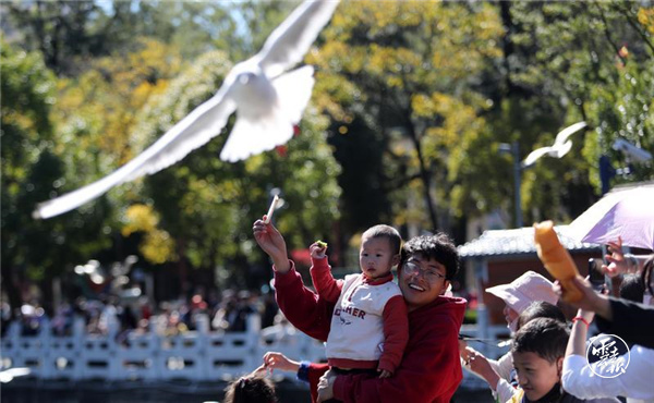 code_ynrb9e63880e-1ef6-49eb-aa28-689170f61eee