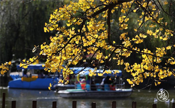 code_ynrb86b3b56d-cdd4-4705-99d0-27e9138472d1