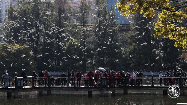 code_ynrb915bc7c1-552b-4e35-9df5-b27c5997af35