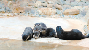 78081637429284943 78081637429284943