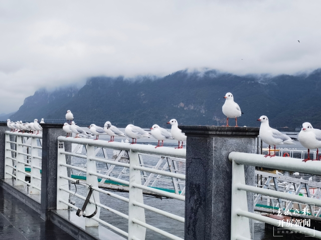 WeChat 圖片_20211122231242