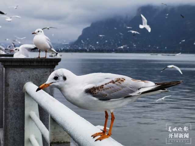 WeChat 圖片_20211122231313