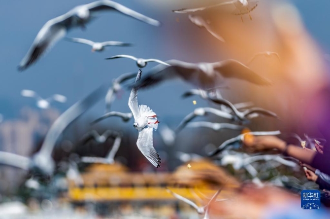 1310324929_16375424592931n