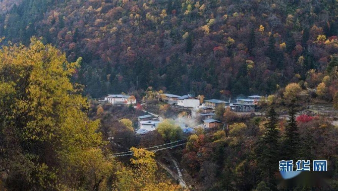 d4c442c7319e4ac69fd3eb18b747d1ad d4c442c7319e4ac69fd3eb18b747d1ad