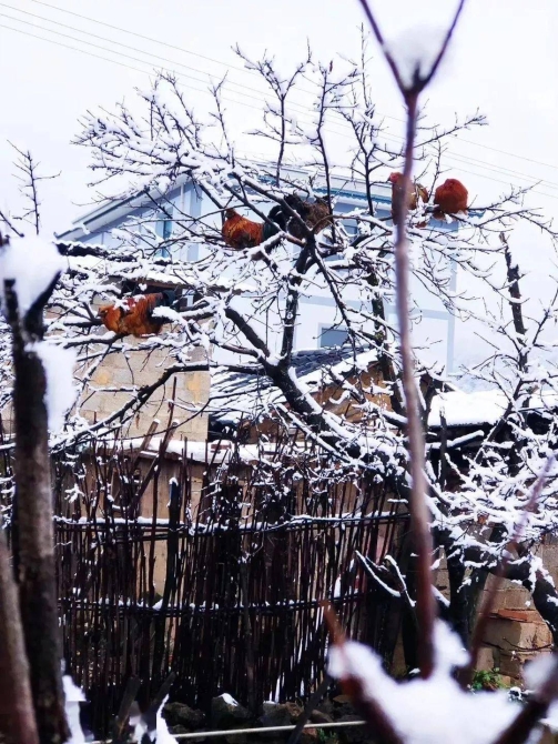 0d1ae7ef6abf4090a7e6be7f5c67366c 0d1ae7ef6abf4090a7e6be7f5c67366c