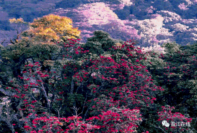 5d20664cc0734457832ab16e89d05356 5d20664cc0734457832ab16e89d05356