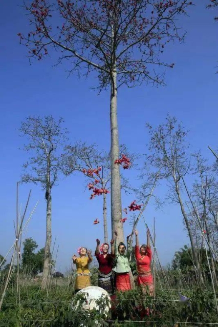 058d278d4ee14646a83d032a5f05d1e5 058d278d4ee14646a83d032a5f05d1e5