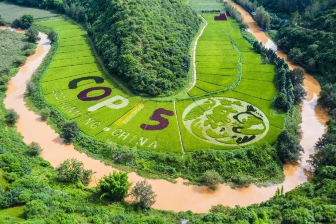 ce21adcbef3448c8a3be2c8b9de0c991 ce21adcbef3448c8a3be2c8b9de0c991