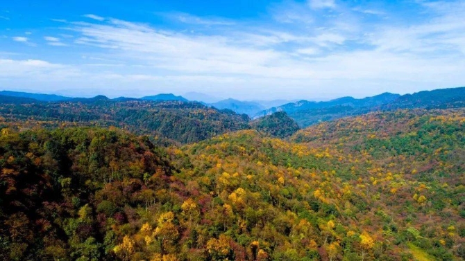 49e316f8e05547e3872a04545caee556 49e316f8e05547e3872a04545caee556